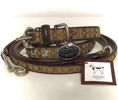 coach pet collars